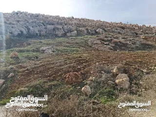  5 أرض في الكمشة حوض الميدان داخل اسكان المهندسين أجمل المواقع في الكمشه