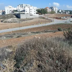  9 قطعه ارض للبيع مساحه 793 متر مربع  في عمان - ناعور - وادي الكبرا خلف محطه السلام طريق البحر الميت