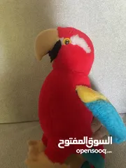  3 ببغاء بجنن لااطفال فاخر جداً