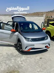  1 دولفن 2022 اقل سعر بالمملكه وانظف حبه