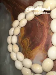  4 مسبحة عاج اصلية  من أنغولا يرجى قراءة الوصف