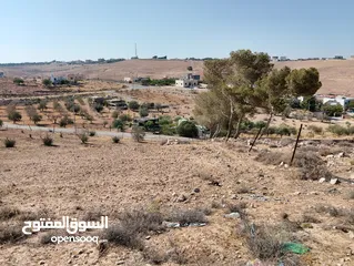  4 لقطة ؛ أرض زراعية مع غرفة على حدود الطفيلة والكرك ، تصلح للاستثمار كمزرعة سياحية أو منتجع سياحي