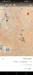  2 وادي العش 40 دونم على شارع 100 متر