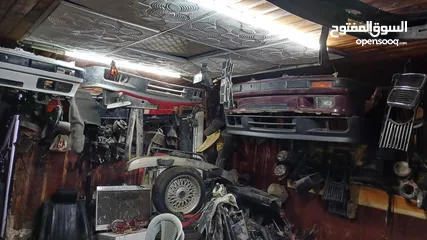  2 قطع بوز نمر