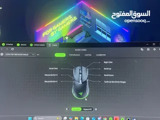  3 Mouse razor cobra synapse