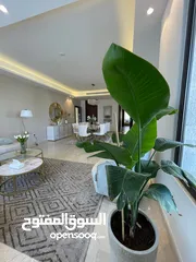 5 Furnished Apartment to Rent 234sqm ( Property 15907 )-174813664