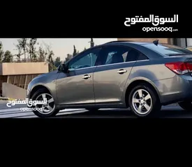  5 شفر كروز 2010