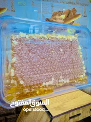  9 مطلوب طيور بدل على عسل