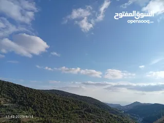  5 بيت مستقل حديث