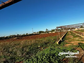  20 مزرعه هكتارين ف بوهادي 