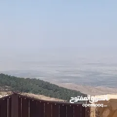  10 مزرعه للبيع في الصبيحي مطله على فلسطين