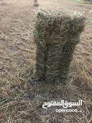  1 حشيش برايد