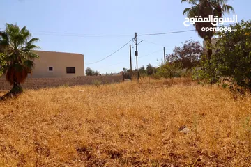  5 أرض مميزة في منطقة النعير ذات اطلالة على حدائق الحسين