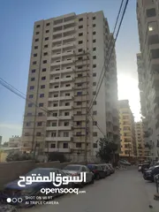  1 فرقة عمال كامله