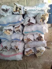  11 حطب زيتون للبيع