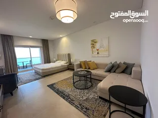  7 fully furnished studio apartment for reny