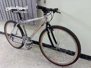  8 MEN'S MOUNTAIN BIKE BRAND ( ROCKY MOUNTAIN ) year 1991