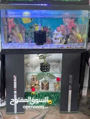  1 حوض سمك مع طاوله قزاز معاه ضوء ودفاي