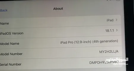  2 IPad Pro 4th gen