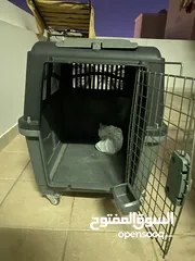  2 Dog cage for sale  قفص كلب للبيع