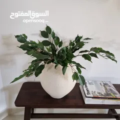  1 اوراق خضار اصطناعية زرع اصطناعي