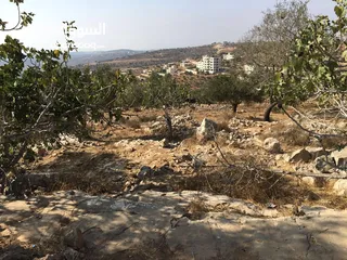  2 قطعة ارض سكنية في اعلى منطقة في أبوشخيدم