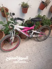  1 بسكليتات مستعمله بحاجه جيده