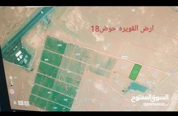  1 أراض للبيع القويره/العقبه /الحسينية/الشوبك