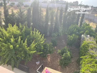  17 مزرعة و شاليه مميزة للبيع في منطقة الكمشة - الزرقاء