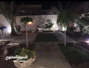  6 مزرعة للبيع الغور