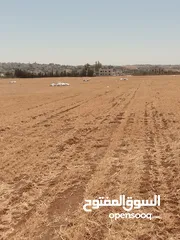  3 ابو  حامد ابو حا