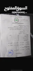  2 سكودا أوكتافيا ترخيص 2018  ديزل أوتومات البيع كاش فقط سبب البيع: الدراسة خارج الوطن
