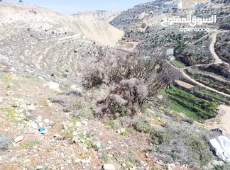 3 قطعة ارض للبيع تصنيف B كوشان طابو