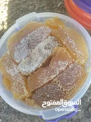  25 النحال أبوباسل لجميع أنواع العسل اليمني وبيع النحل