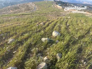  3 ارض الكمشة - استثمارية عالية و مطلة ( راس جبل)  قريب شارع الاردن 4 دونم إطلالة بانورامية مطلة