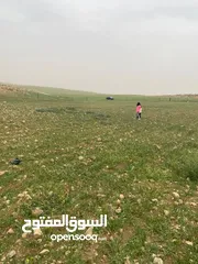  3 ارض مساحة 3,757 دونم للبيع بسعر مغري في منطقة الدليله