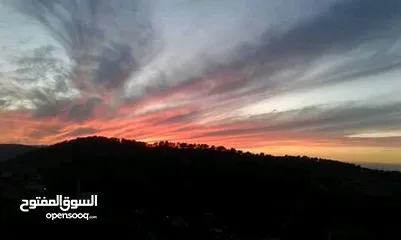  2 مزرعة شالية