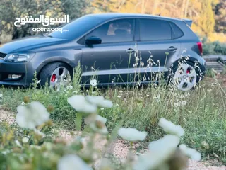  3 polo  2010