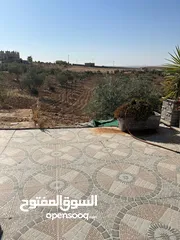  14 مزرعة 10 دونمات مع شاليه و مسبح للبيع