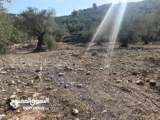  4 حصة 470م منطقة المنتزة