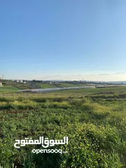  1 نمرة 700 متر مربع دير غزالة