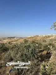  5 قطعة ارض للبيع ( الإطلالة الأجمل في منطقة بيرين)  واصل جميع الخدمات ( على قمة ام رمانة )