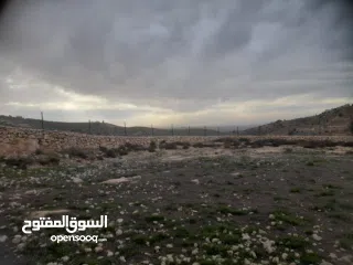  1 1800 م ارض طابو A الخليل دورا  خرسه