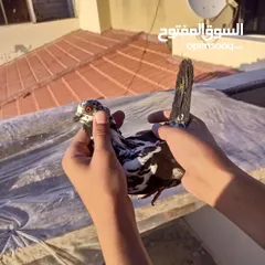  4 الجوز علا 10 اما الباقي الحبه علا 2