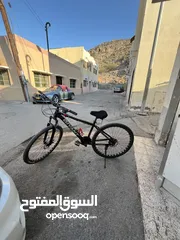  1 Cycle mountain bike 29 size