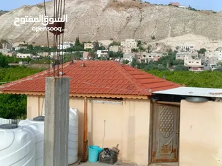  8 مزرعه مثمره للبيع