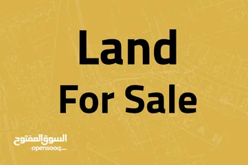  2 أرض سكني للبيع في ربوة عبدون