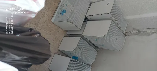  1 اقفاص عرض طيور