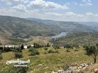  5 ارض للبيع جرش المجدل مطله على سد الملك طلال