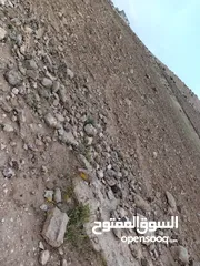  2 ارض للبيع طريق 100 بسعر مغري جداً